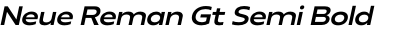 Neue Reman Gt Semi Bold Expanded Italic